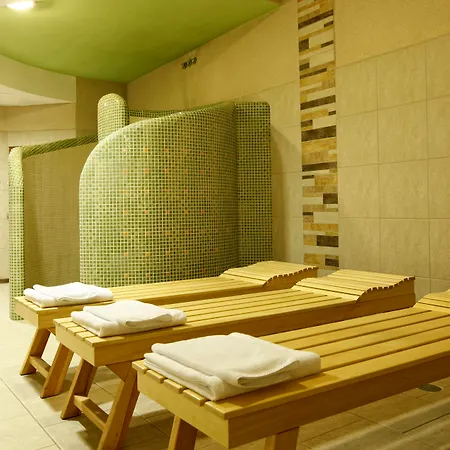 Hotel Apis 
